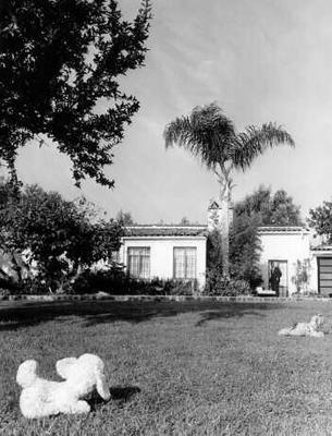 Backyard_w_stuffed_animals