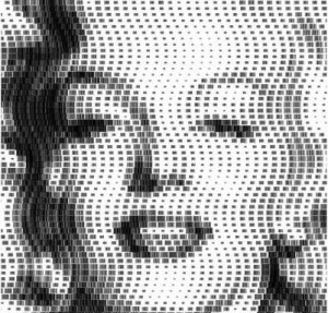 Scott Blake Barcode Marilyn
