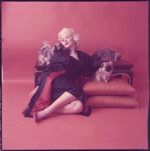 Photo by Milton Greene, 1955