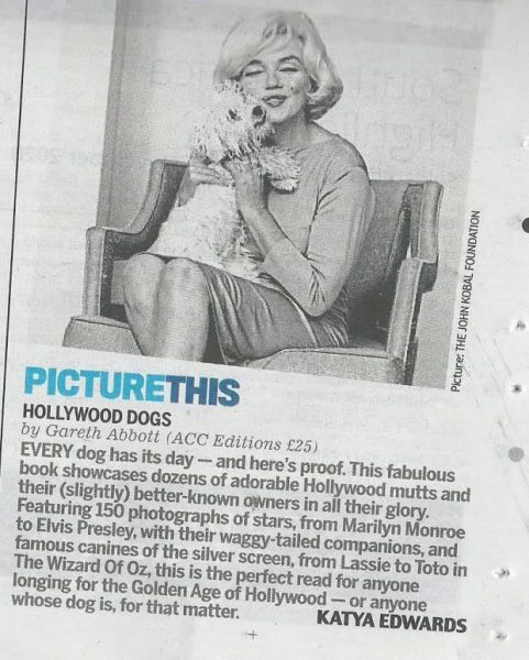 ES Updates - Page 91 - Marilyn Monroe 1926-1962